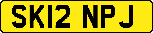 SK12NPJ