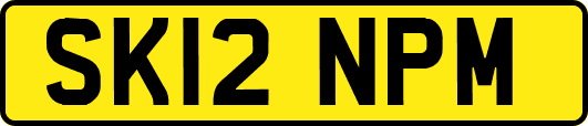 SK12NPM