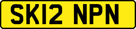 SK12NPN