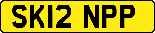 SK12NPP