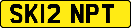 SK12NPT
