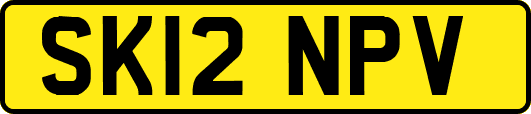SK12NPV