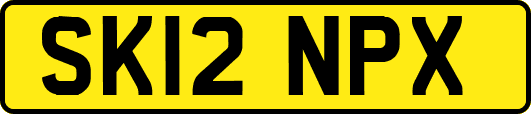 SK12NPX