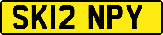 SK12NPY