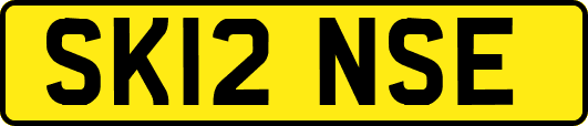 SK12NSE