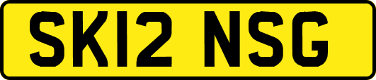 SK12NSG