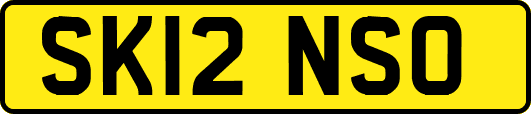 SK12NSO