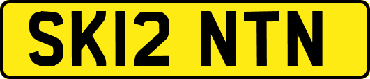 SK12NTN