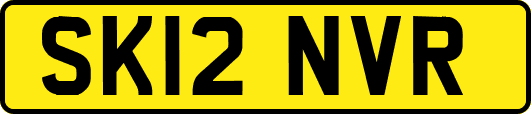 SK12NVR