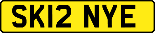 SK12NYE