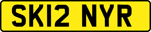 SK12NYR