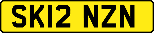 SK12NZN