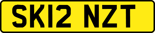 SK12NZT