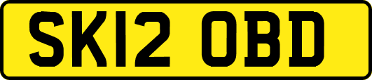 SK12OBD