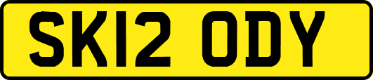 SK12ODY