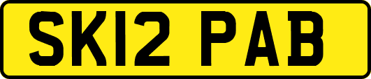 SK12PAB