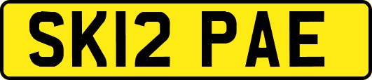 SK12PAE
