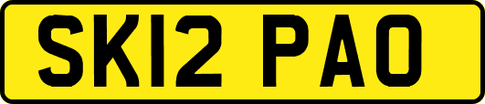 SK12PAO