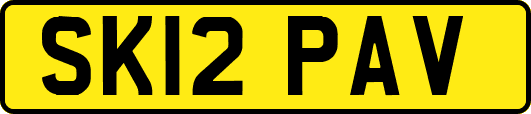SK12PAV