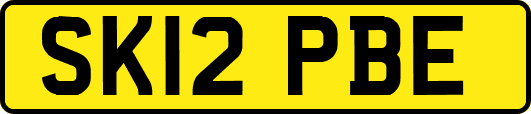 SK12PBE