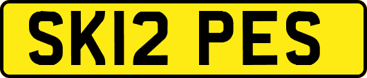 SK12PES