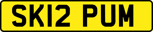 SK12PUM