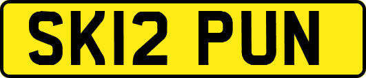 SK12PUN