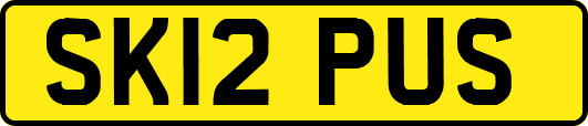 SK12PUS