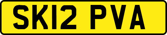 SK12PVA