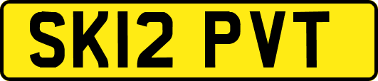 SK12PVT