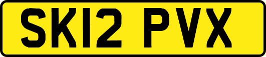 SK12PVX