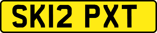 SK12PXT