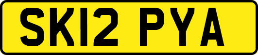 SK12PYA