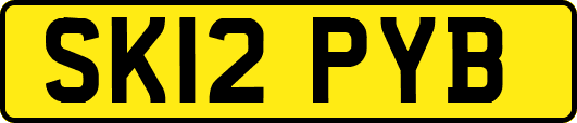 SK12PYB