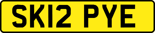 SK12PYE