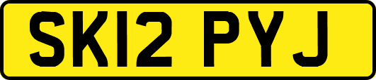 SK12PYJ