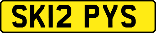 SK12PYS