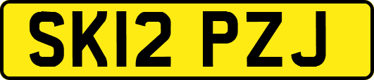 SK12PZJ