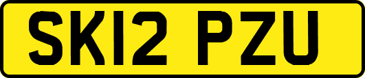 SK12PZU