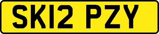 SK12PZY