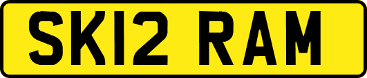 SK12RAM