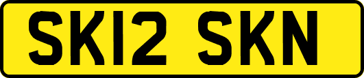 SK12SKN