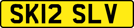 SK12SLV