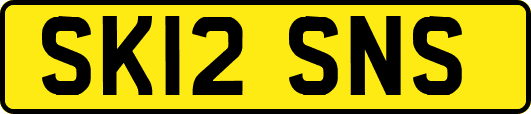 SK12SNS