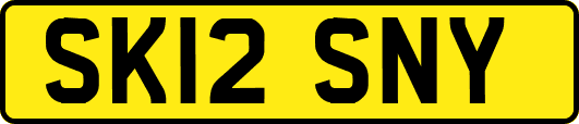 SK12SNY