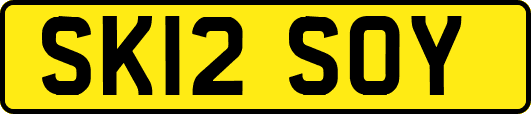 SK12SOY
