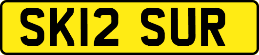 SK12SUR