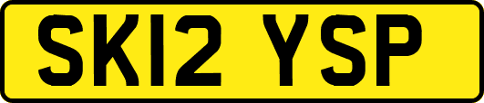 SK12YSP