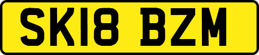 SK18BZM