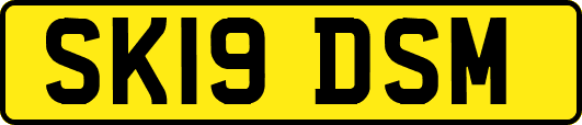 SK19DSM
